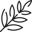 cosmetic-icon2